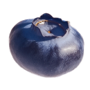 Blueberry